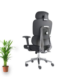 Director chair DC-1532-2