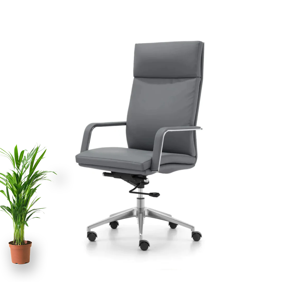 Director chair DC-1533
