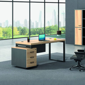 Modern Executive Desk ED-010-2