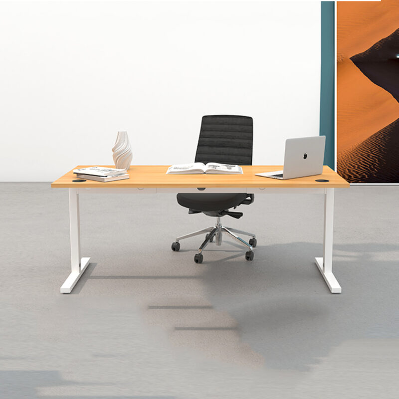 Single Executive Desk-1 Single Executive Desk-1