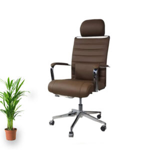 Director chair Director Chair